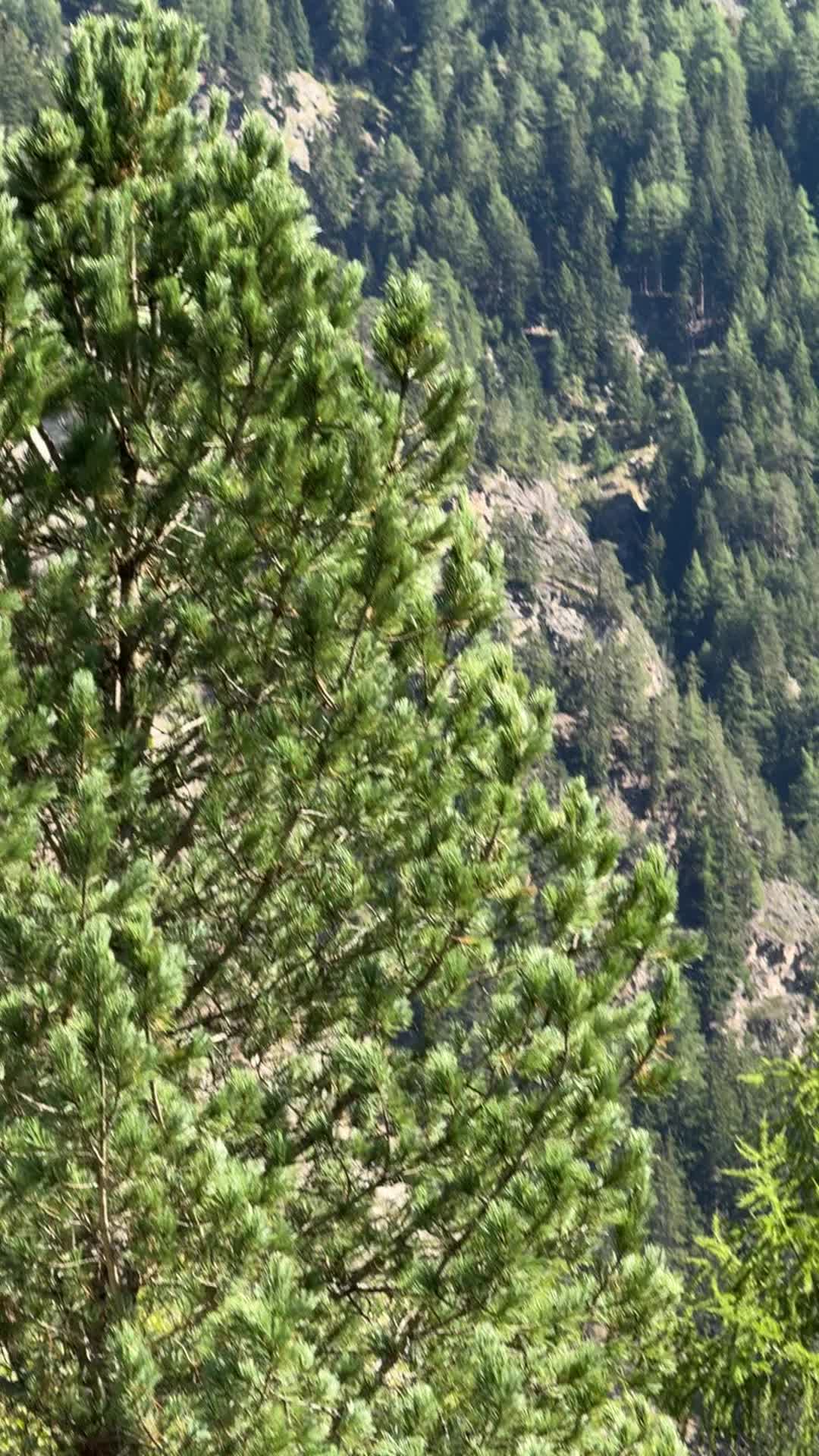 @Chiyawali