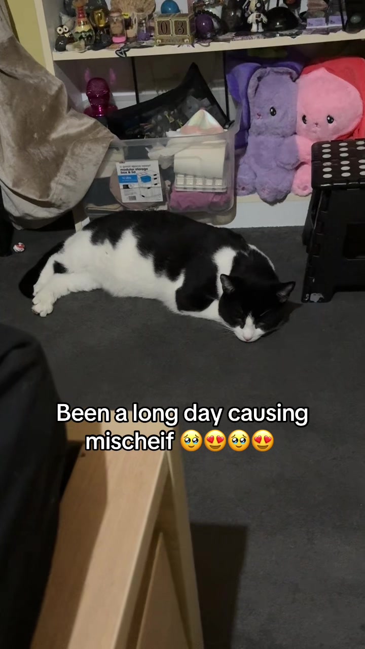 @Paigeyy