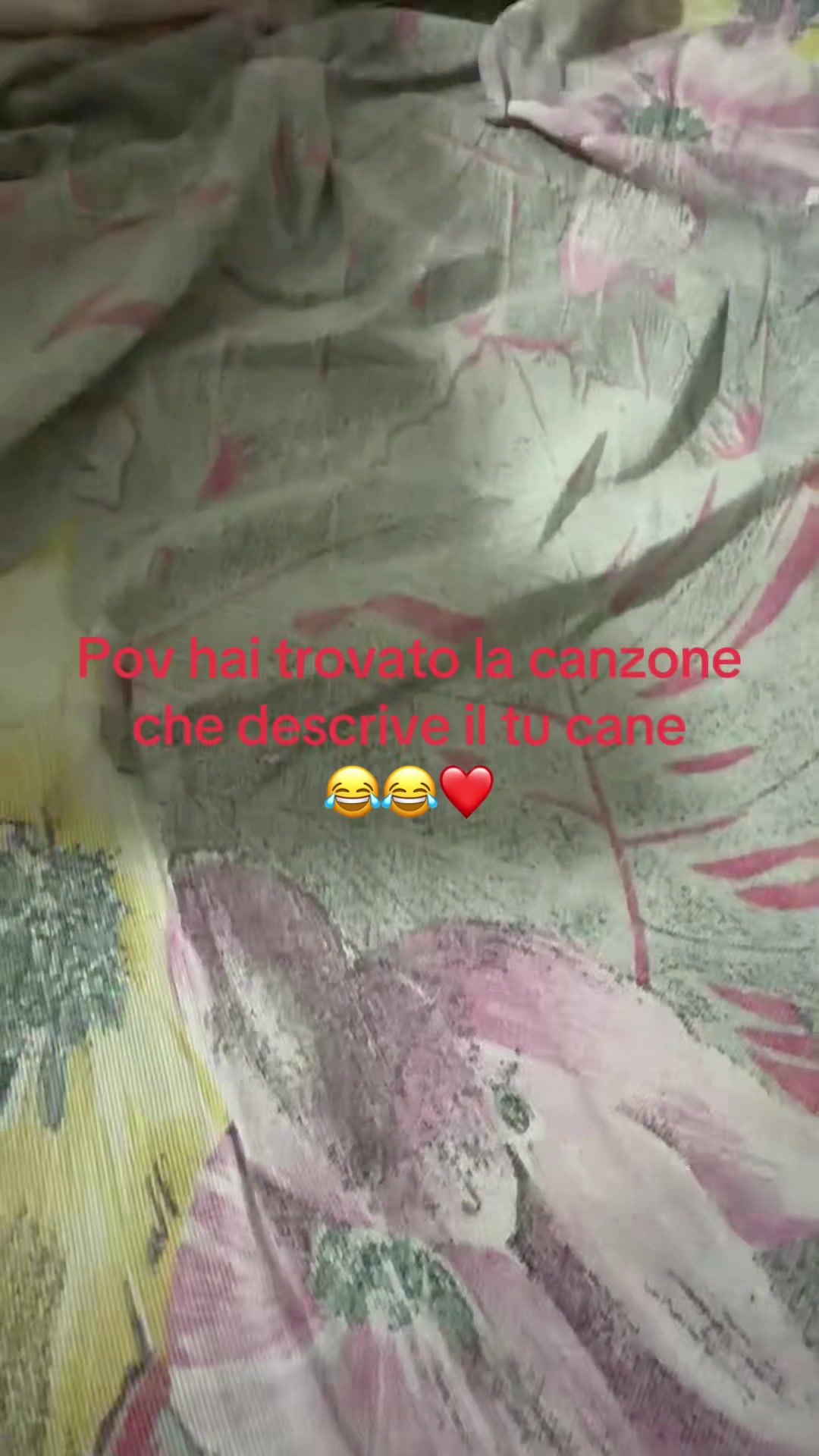 @🔥𐌋&rsquo;𐌉𐌍ᕓ𐌀𐌃𐌄𐌍𐌕𐌄😜
