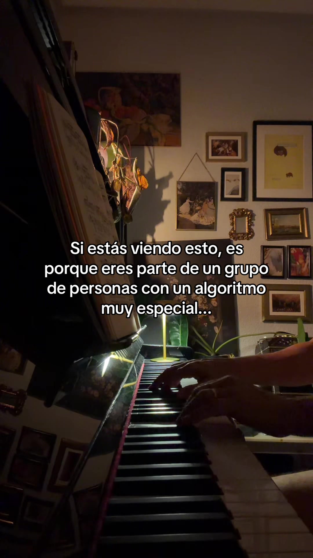 @constantini_music