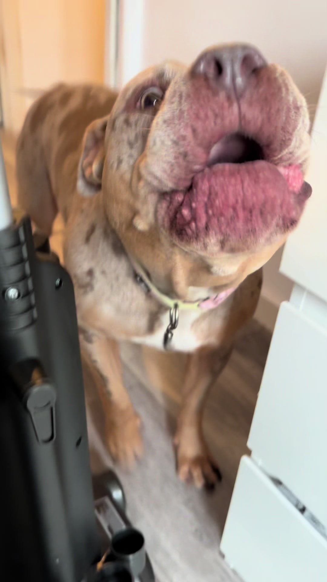 @busterandnova