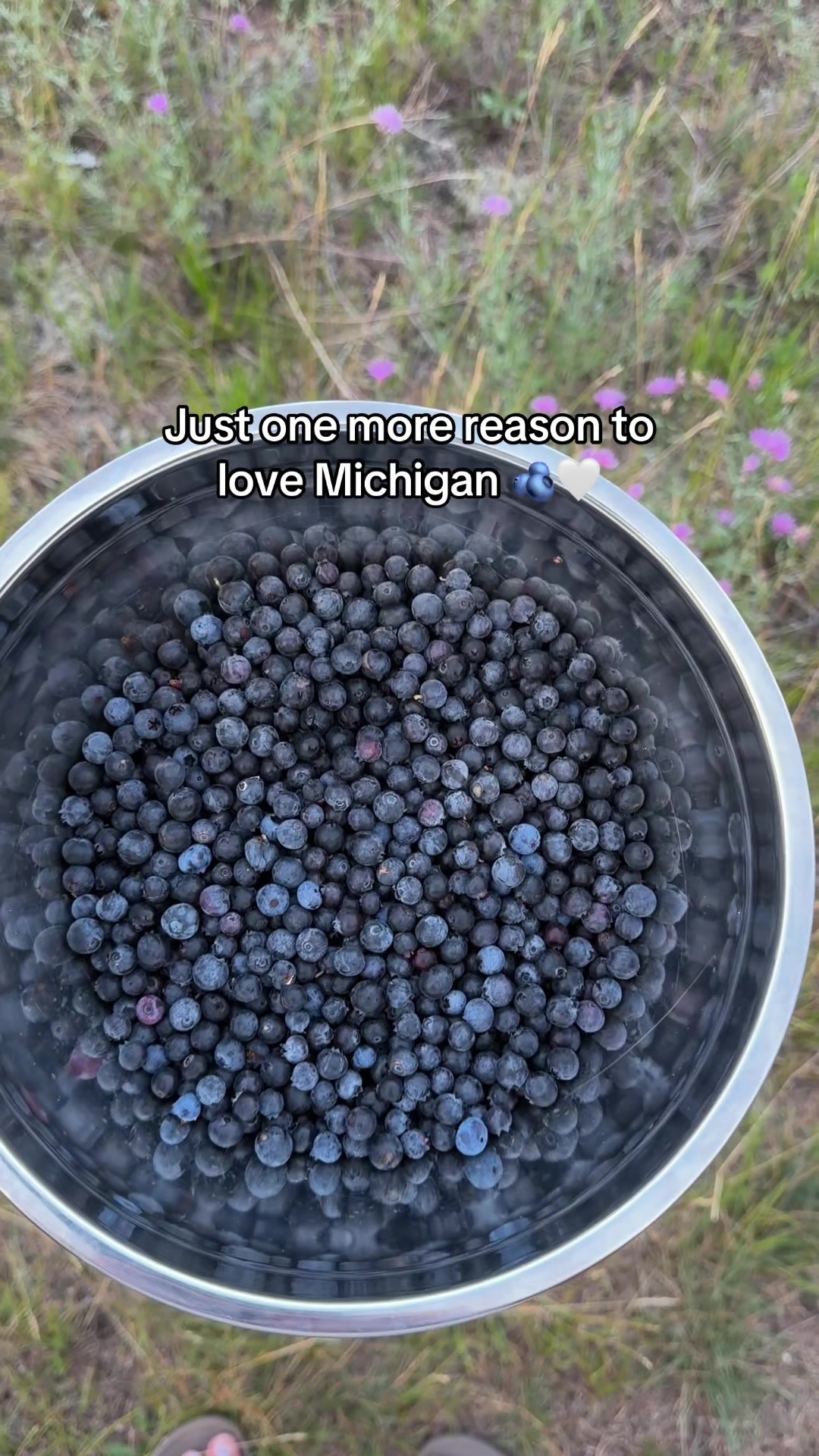 @Bailey | bookish 2026 bride