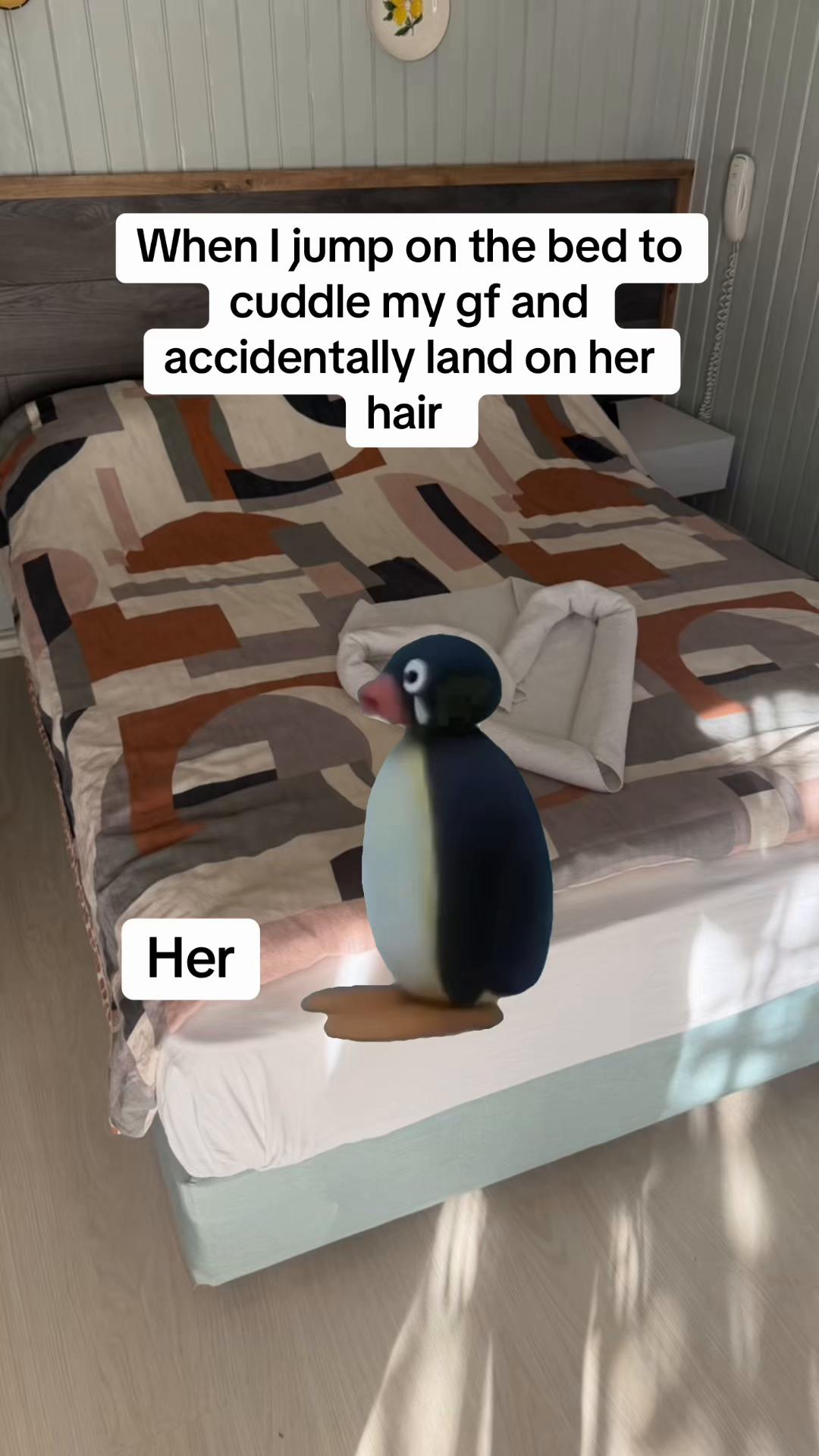 @gemma