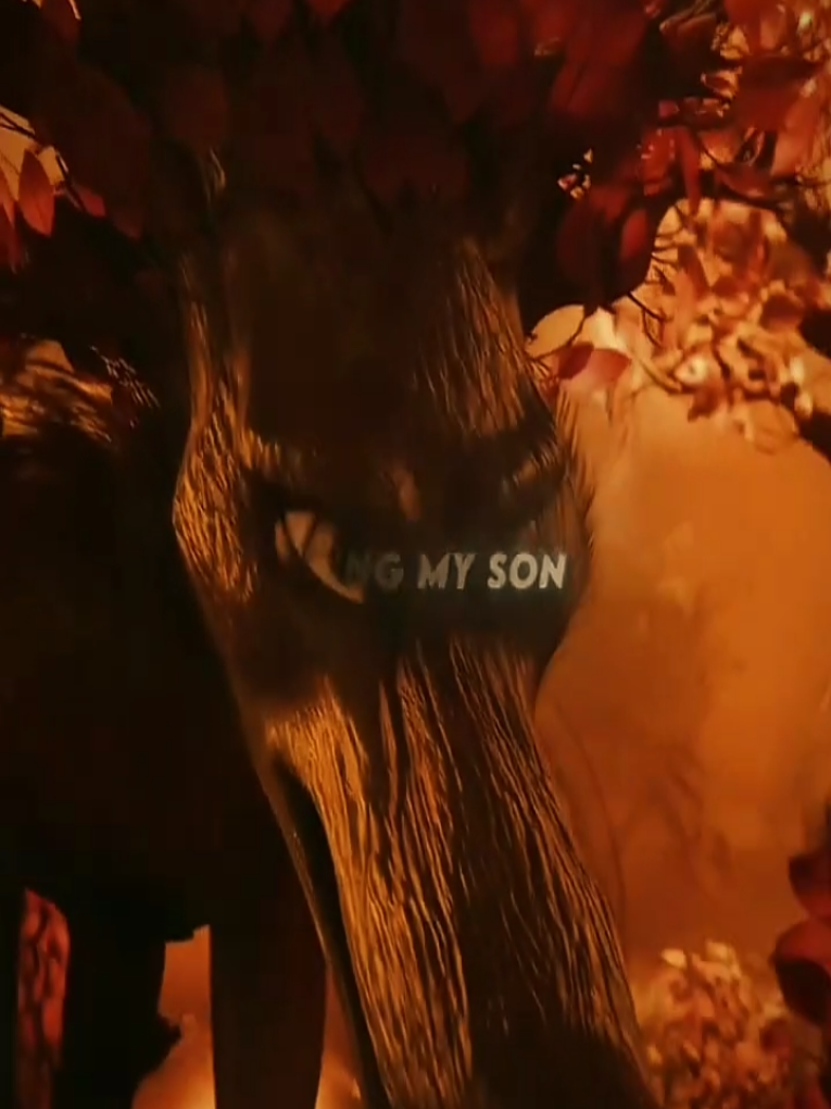 @movierecapz0