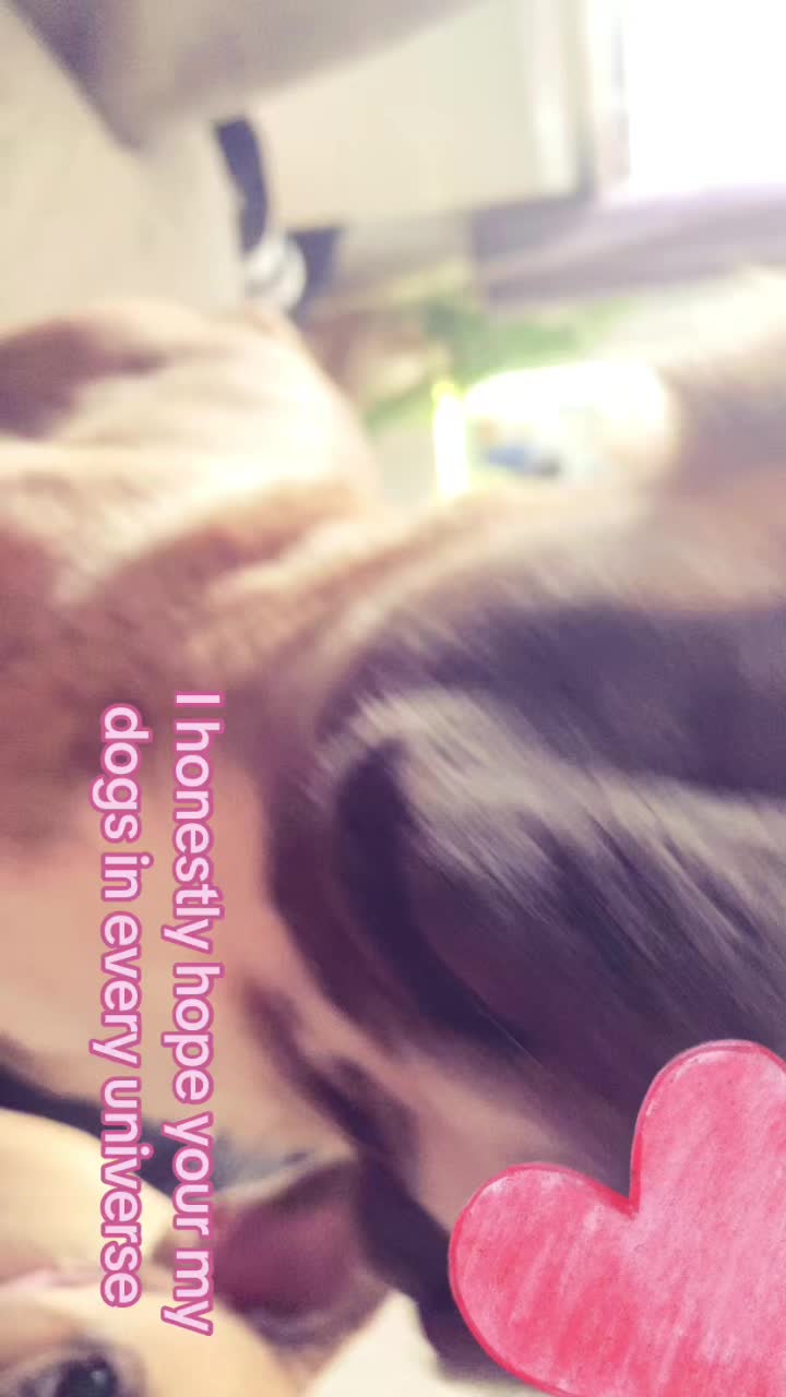 @Jessie 🐶