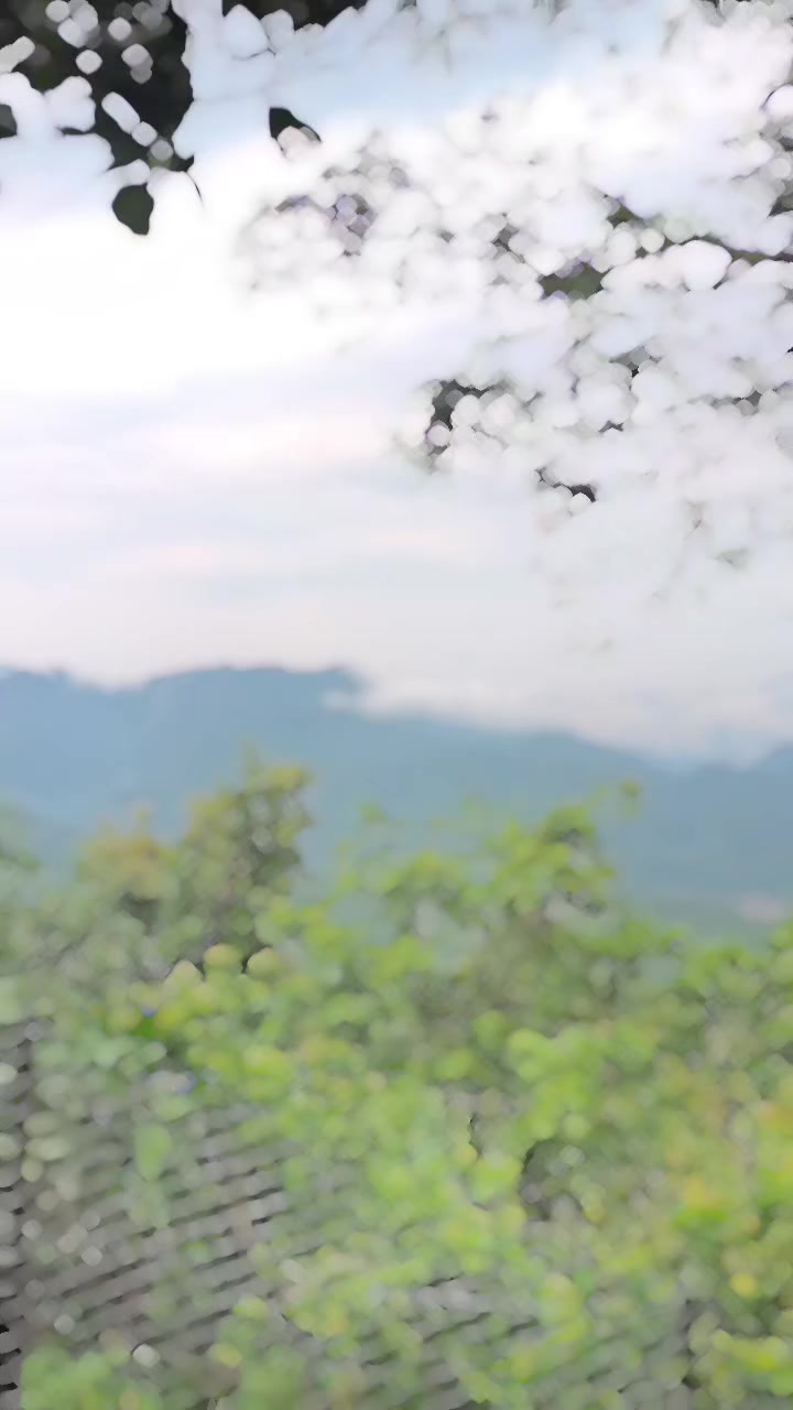 @ᴹᴿ&deg;᭄यादव &image;Ꭵ࿐