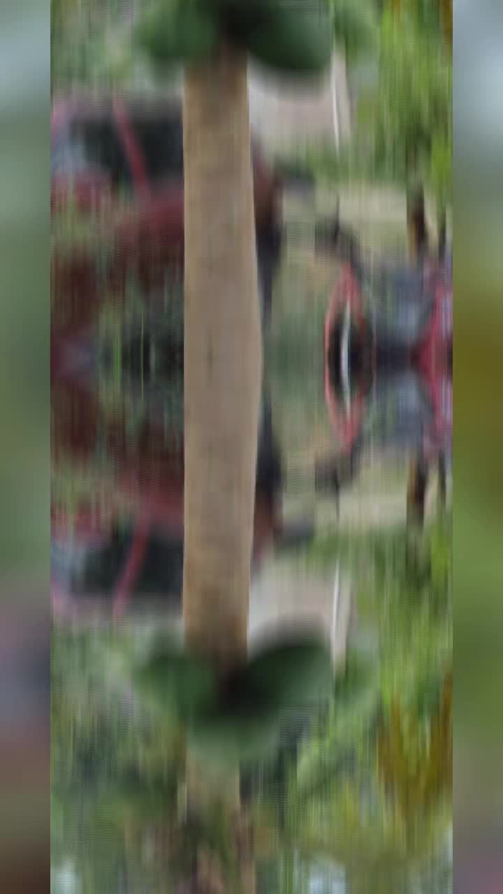 @samuelperez5265