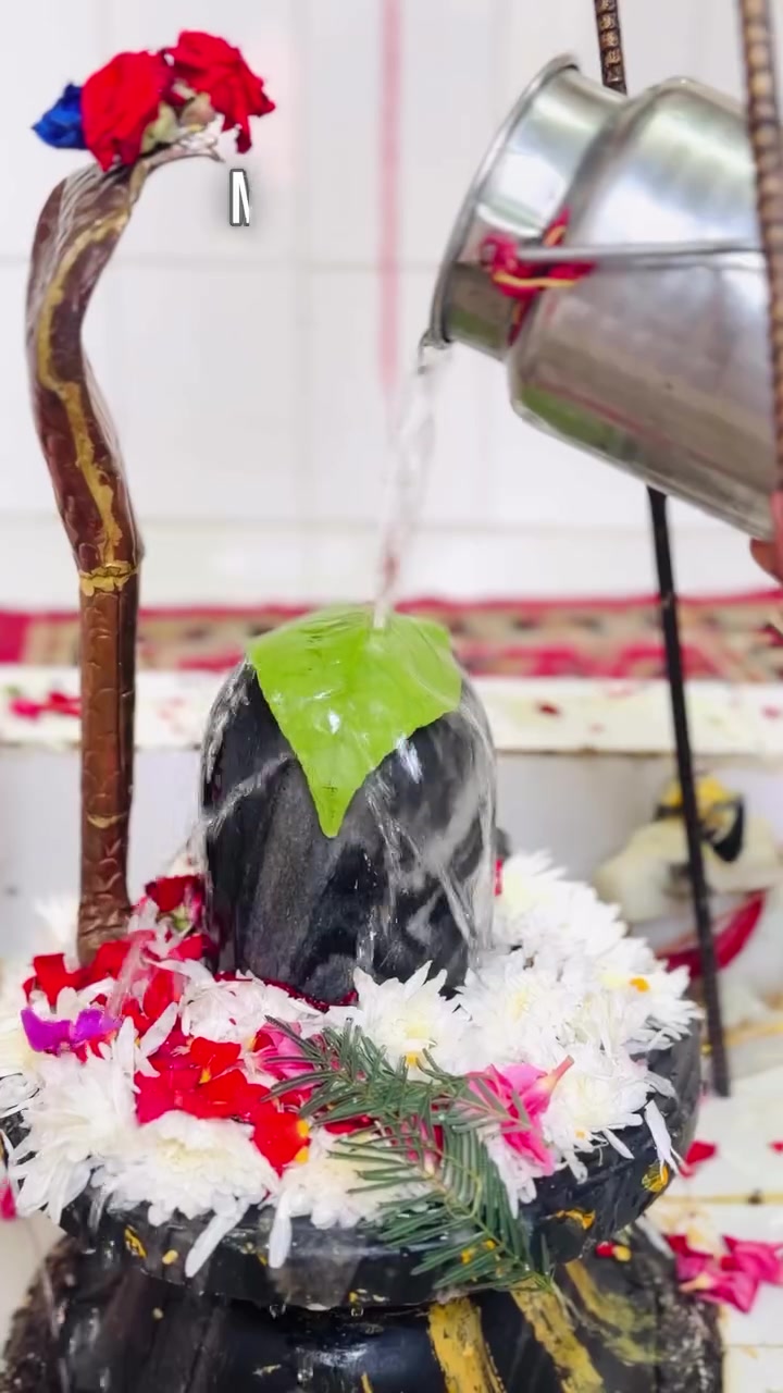 @๐ฆ๐๐Har Har MAHADEV โจ๐ฑ๐ฟ
