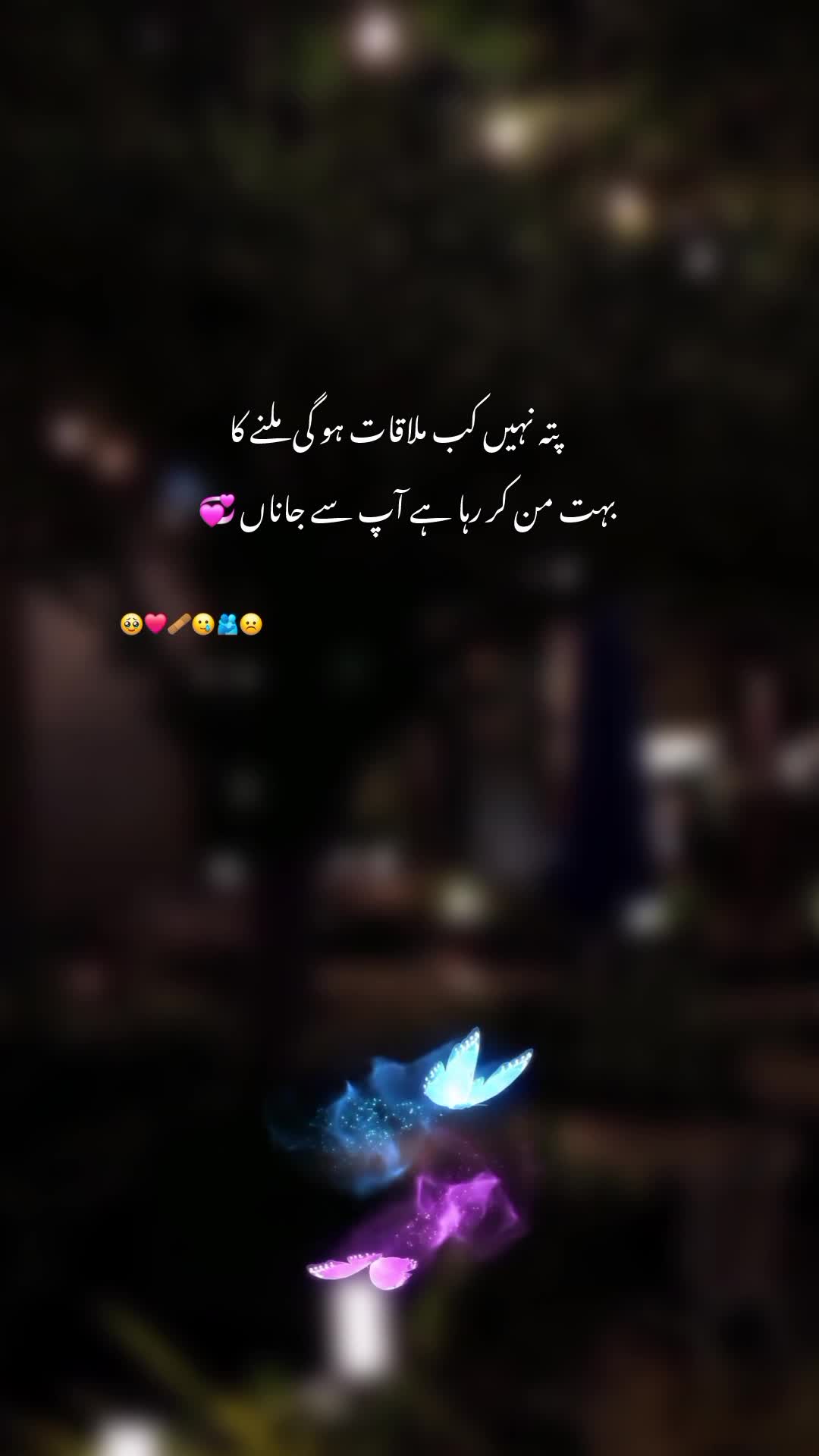 @NOOR 𔘓 / 🫥