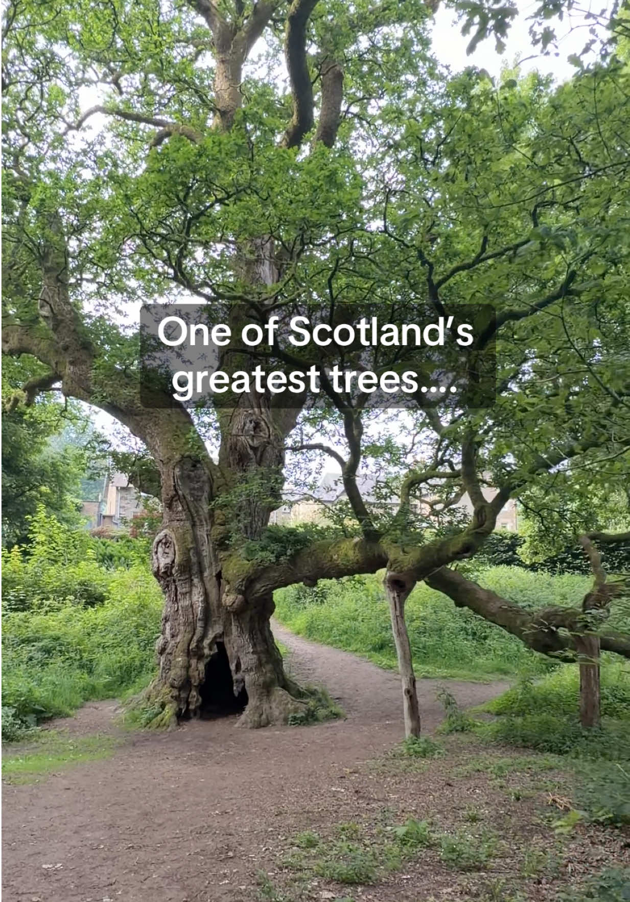 @VisitScotlandTours