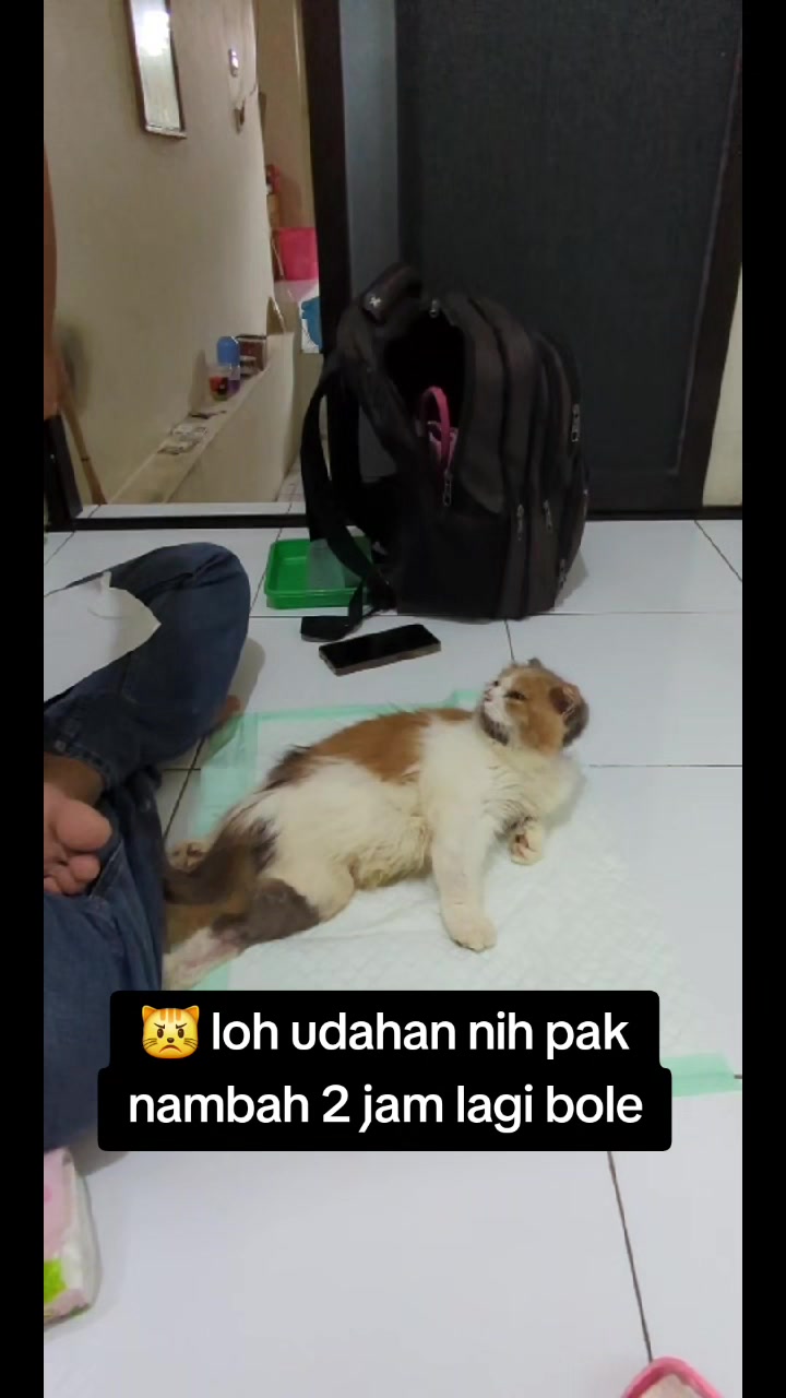 @kuro.bocil.gosong