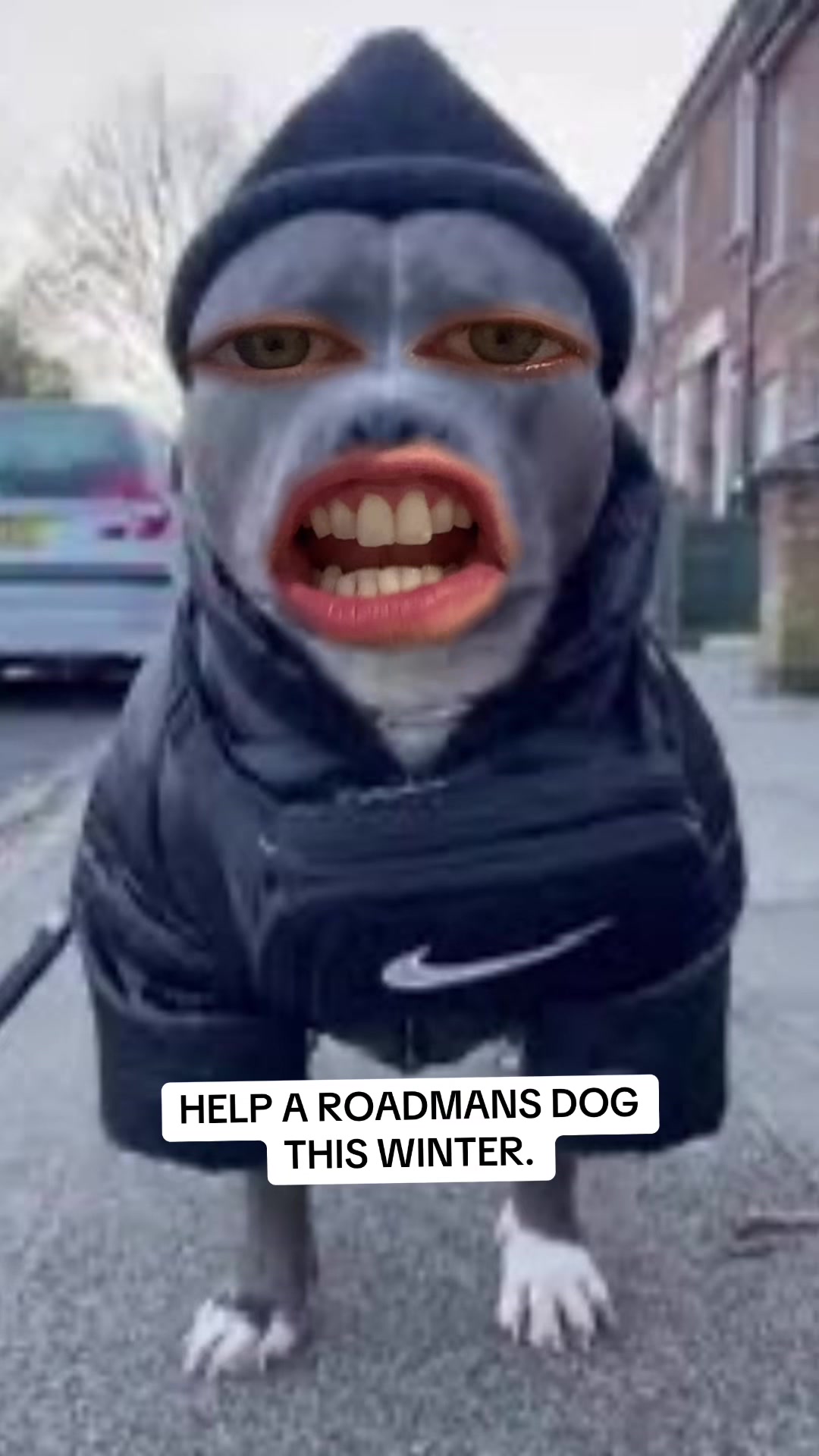 @MitchWantsToBattle