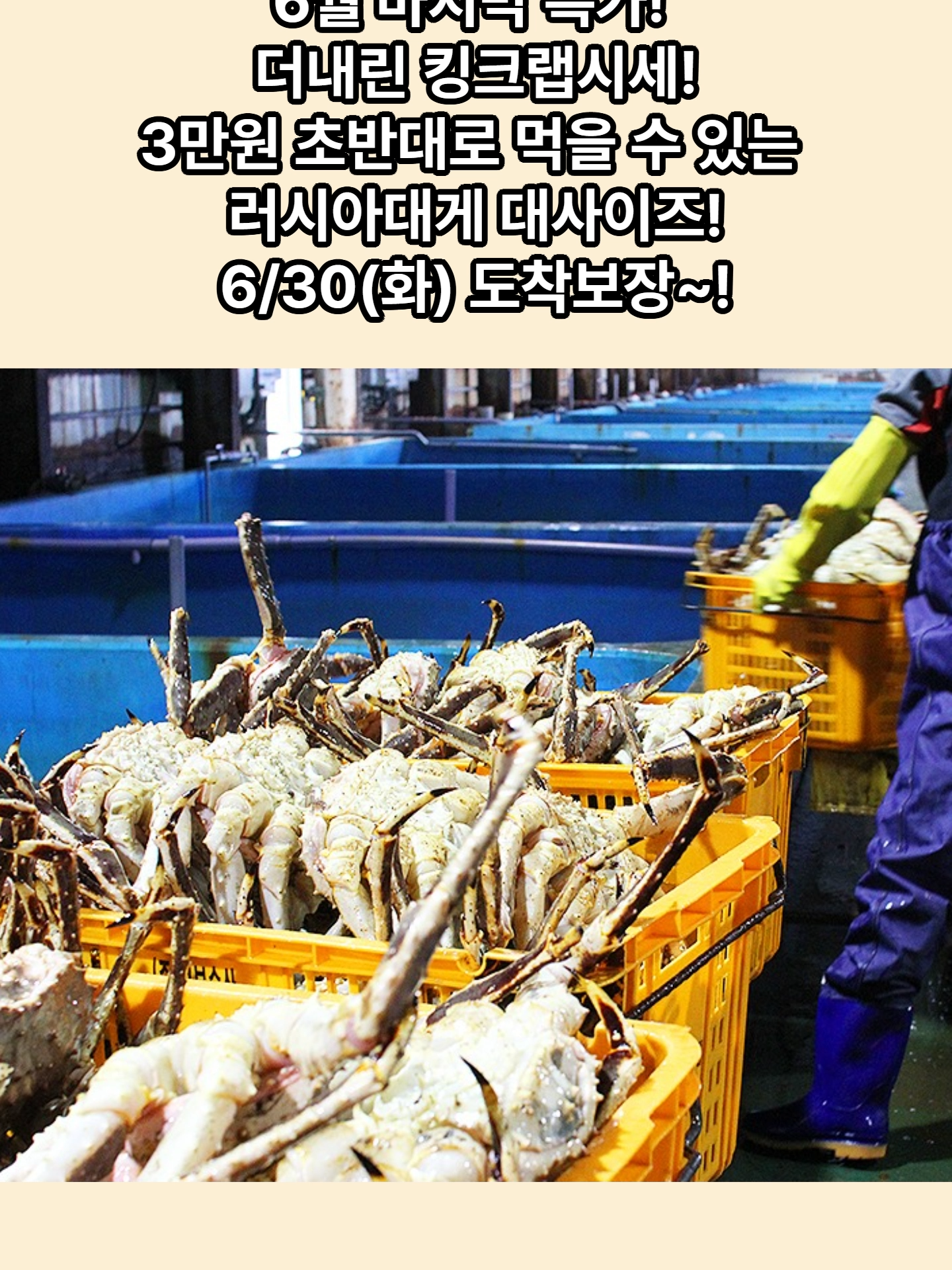 @킹크랩 대게 동해수산유통