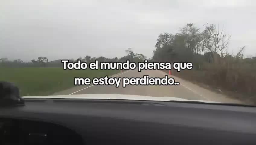 @Percy Altamirano951
