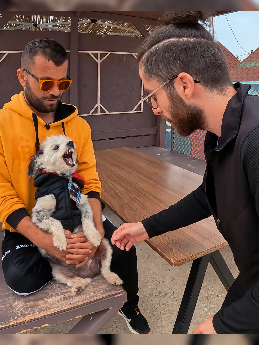 @Soner Şeylan