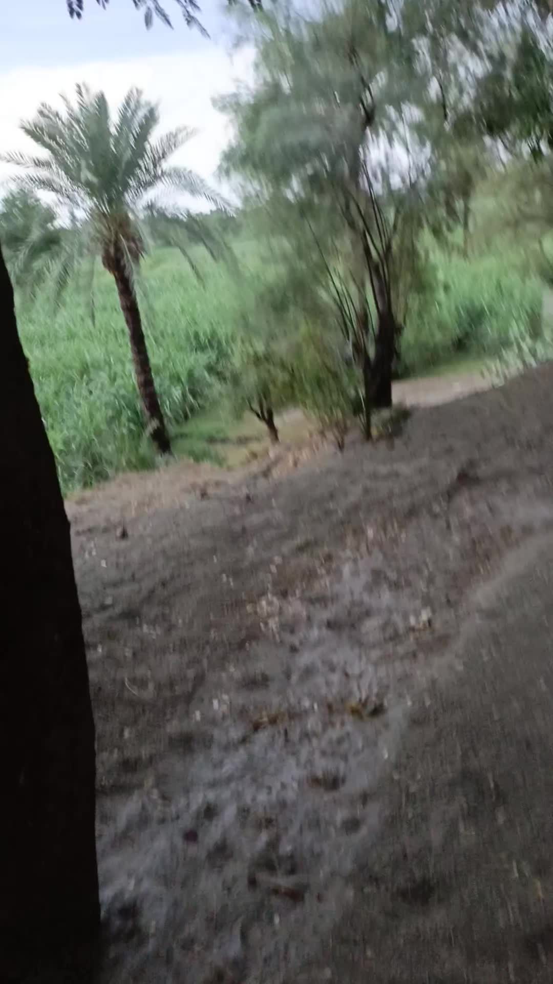 @گُڈو بادشاہ