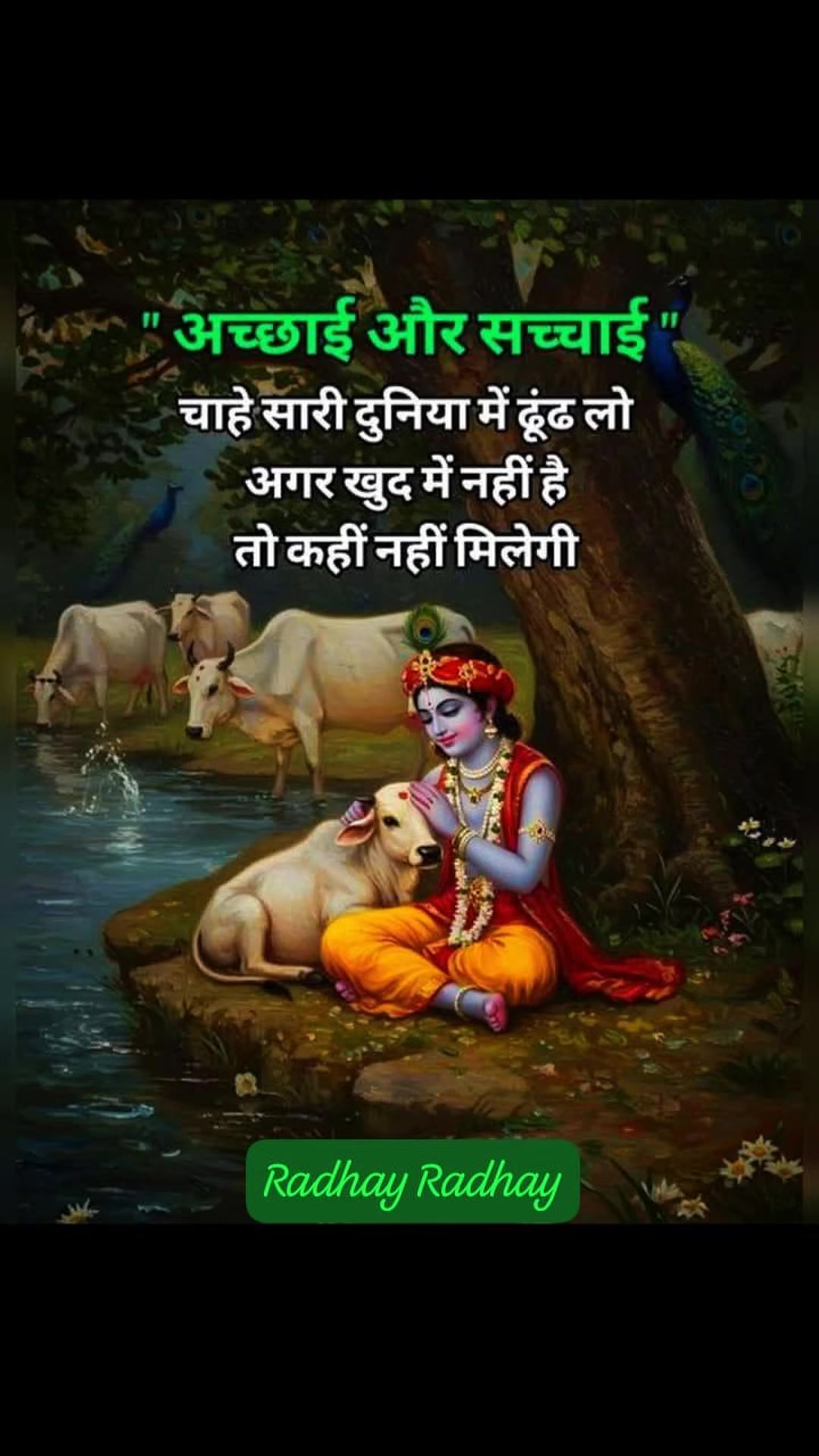 @Rubi gupta