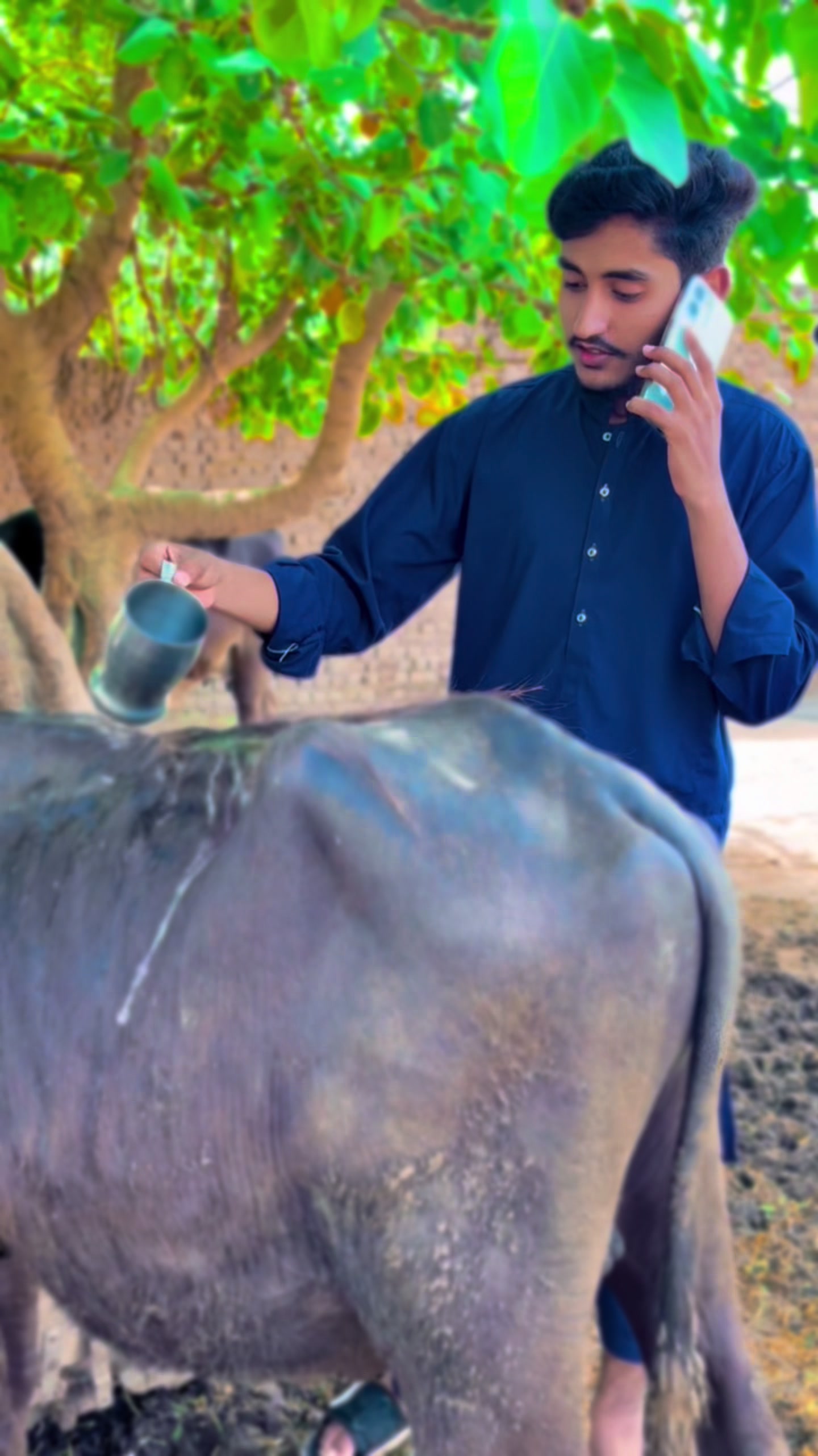 @Rai Adnan