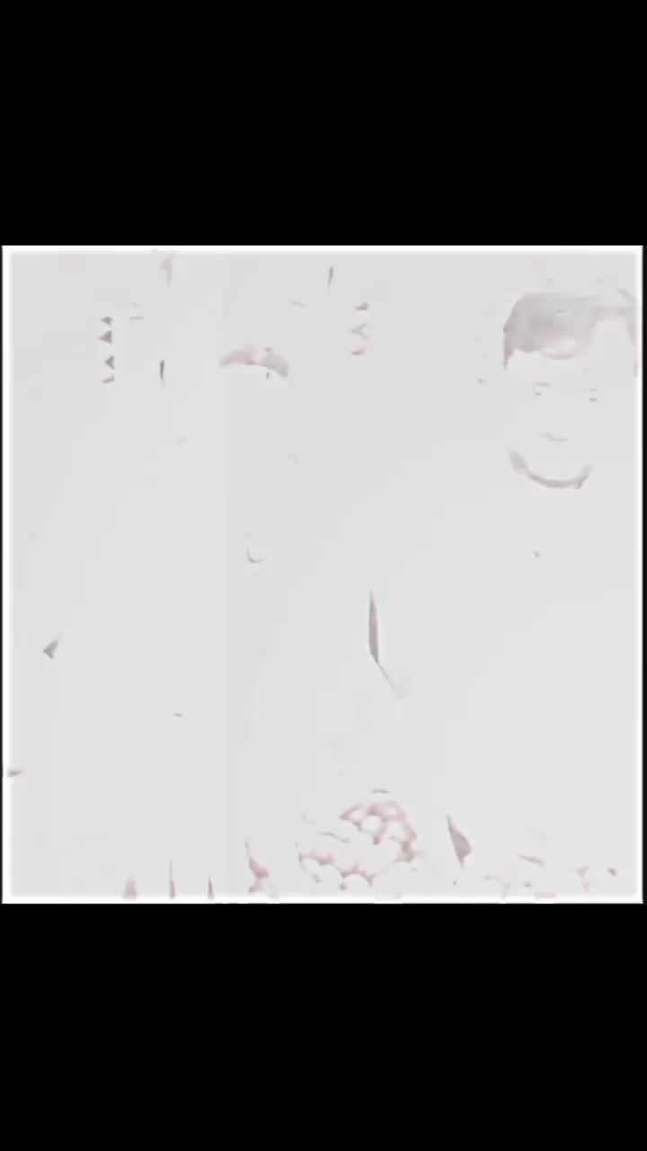 @𝙈𝘼𝘼𝙕 𝙀𝘿𝙄𝙏𝙊𝙍 302🤑