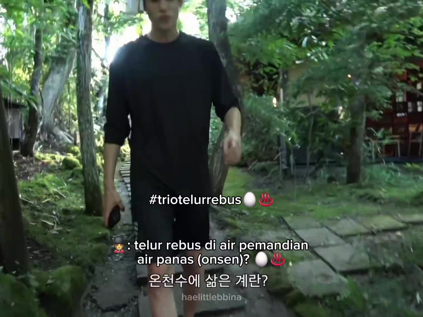 @haelittlebbina