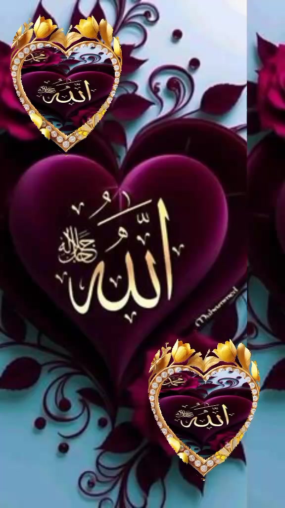 @🦋 Fatimah 🌻
