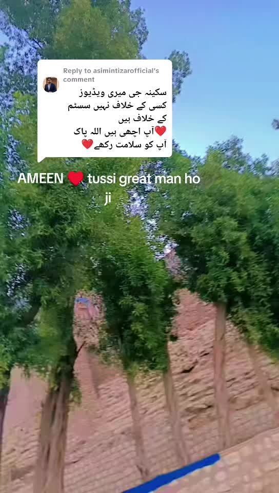 @Sakina Ali 5566