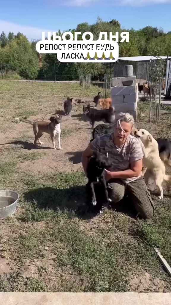 @Світлана Ткачук