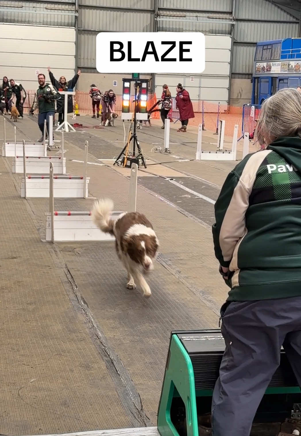 @Pawsitivity Flyball Team