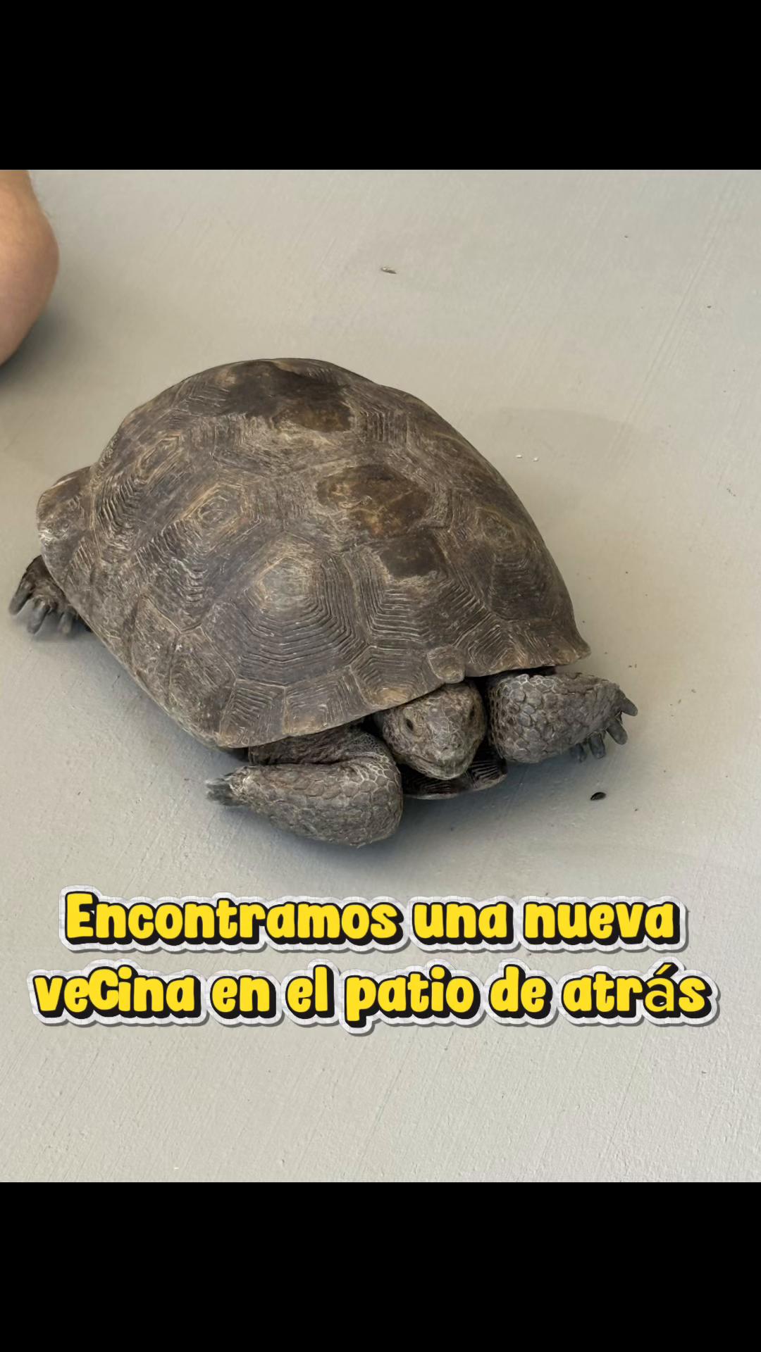 @Lili Contreras