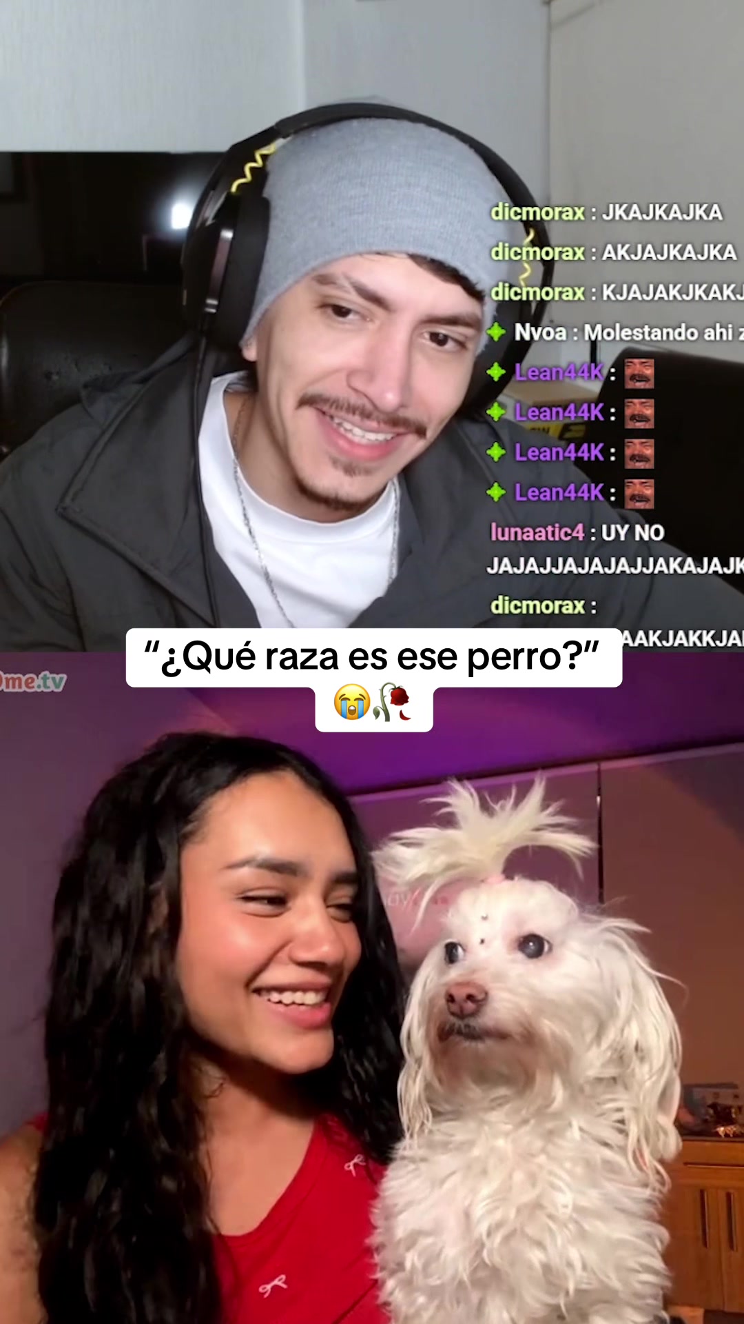 @soyJosema😈