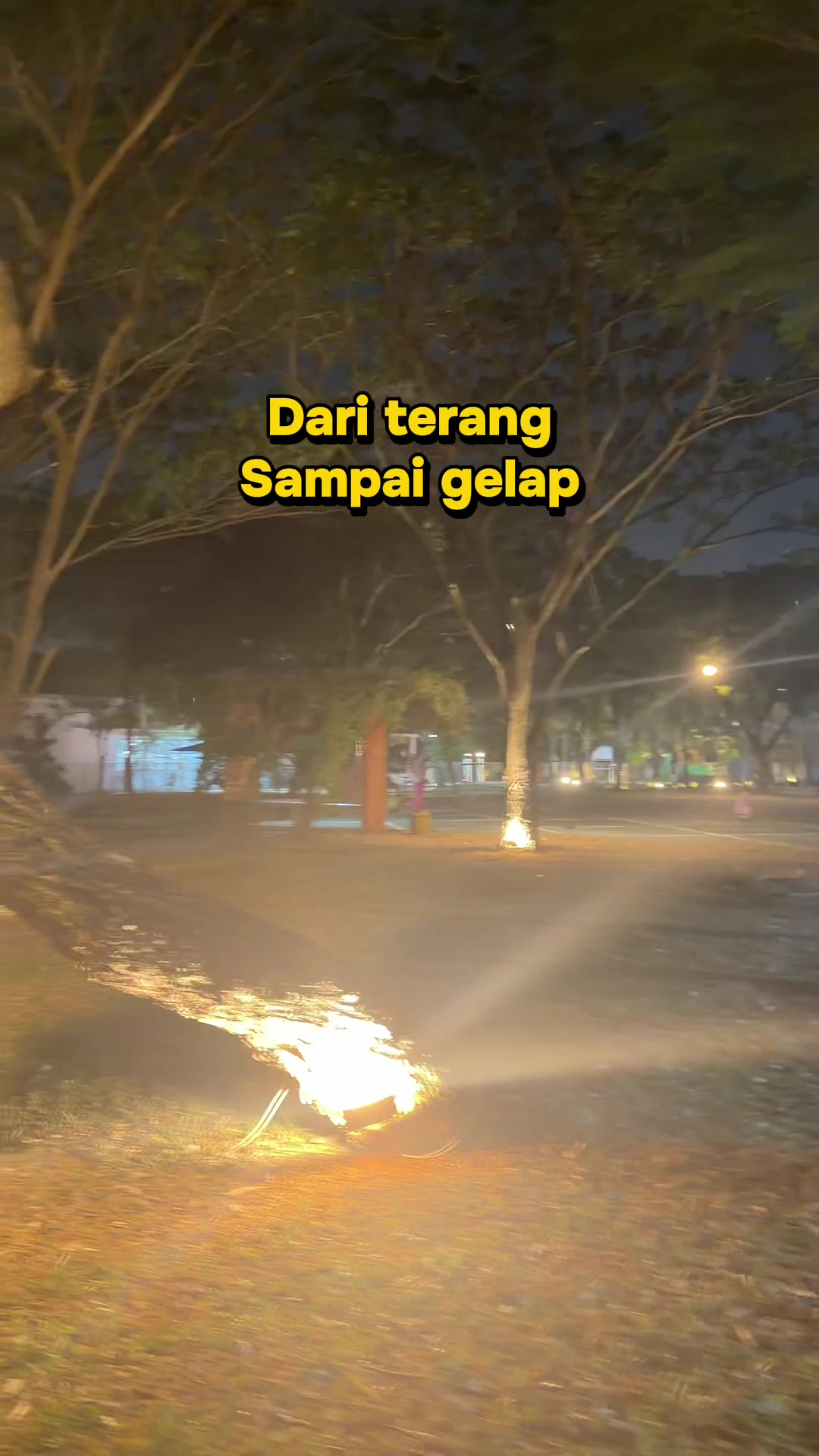 @6 sodara