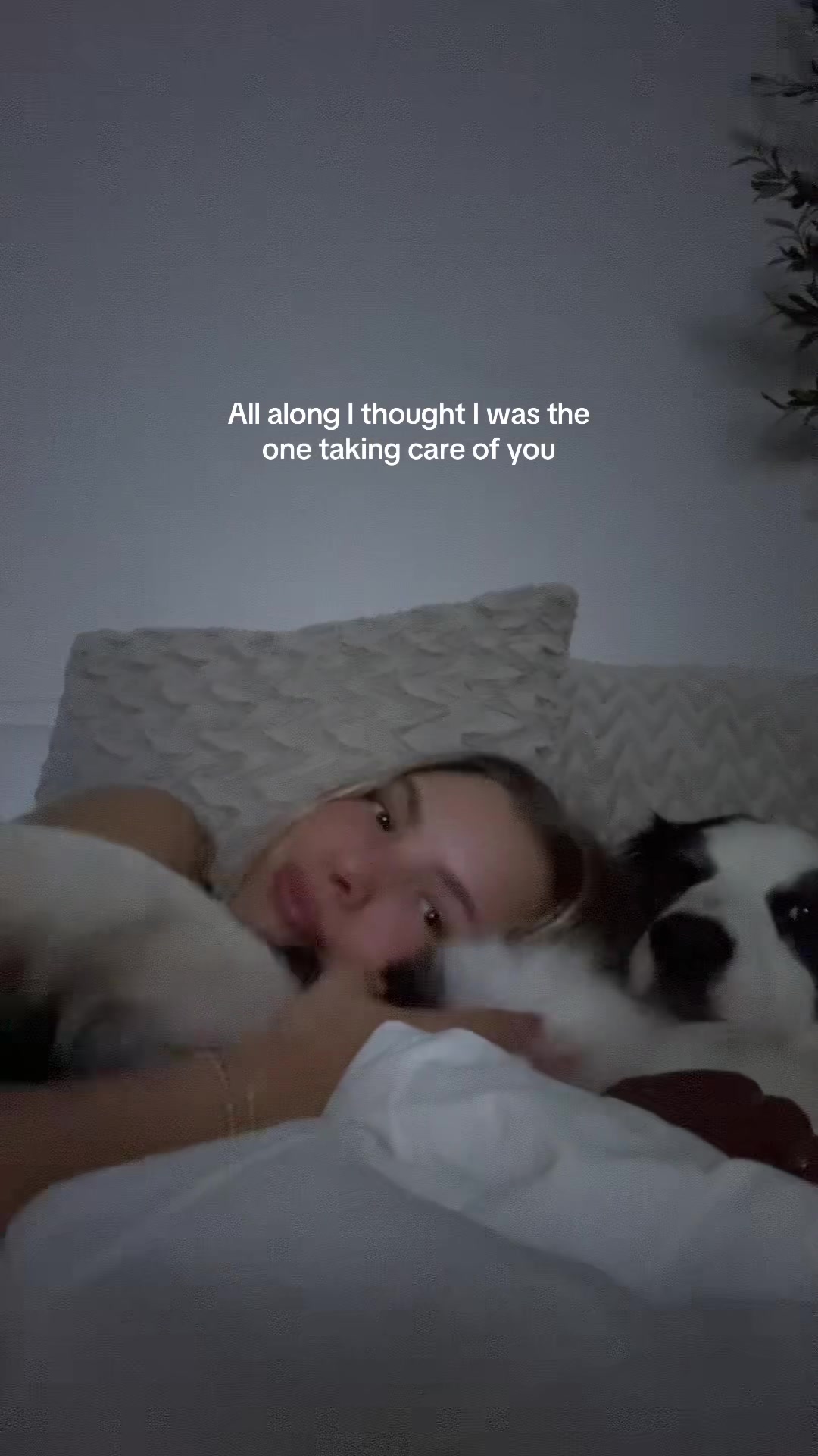 @Chaselynn