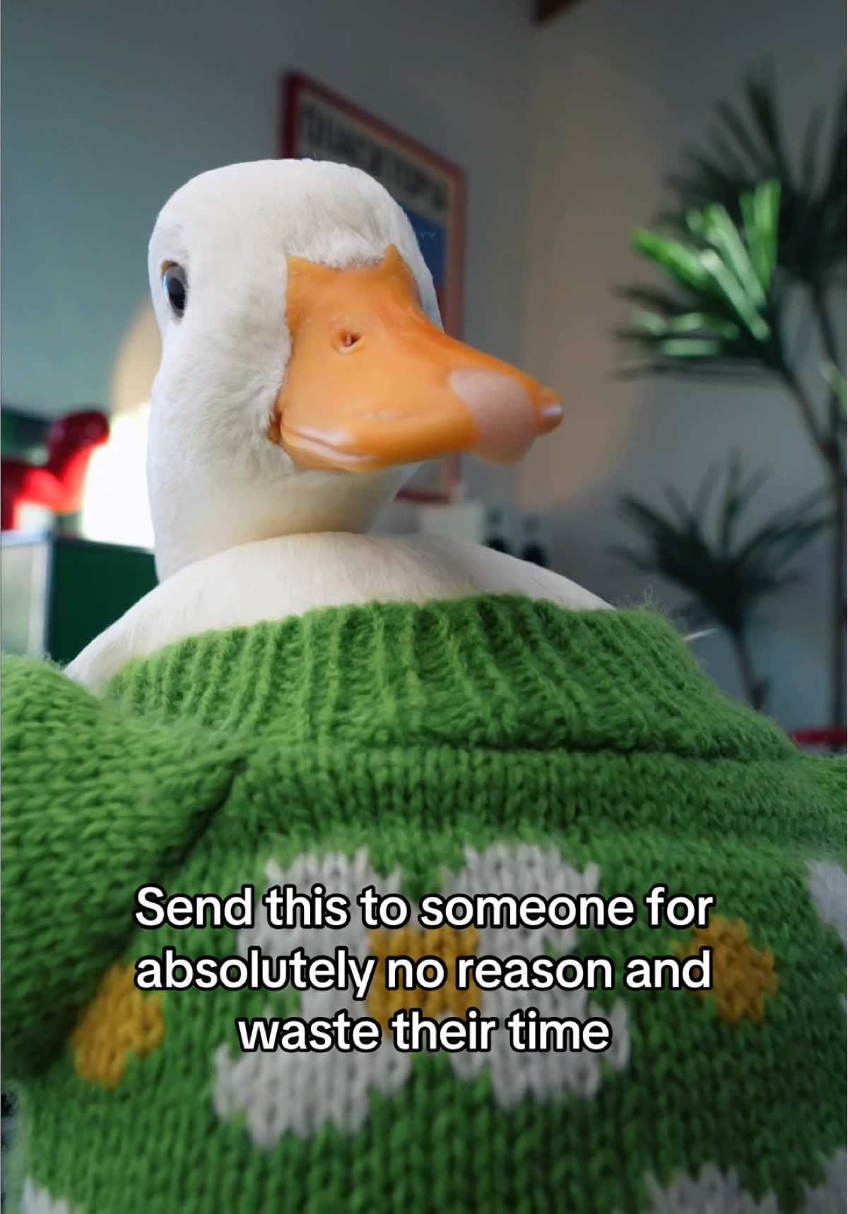 @ducks_in_space🪿🪿💦