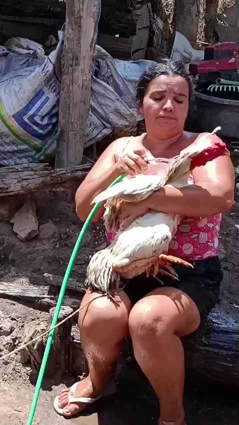 @Dalva Freitas