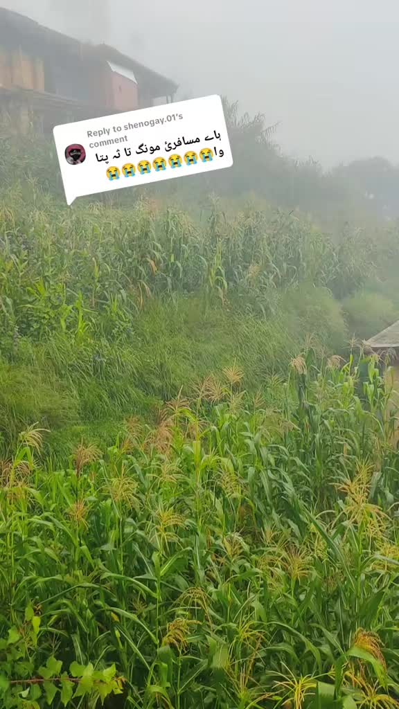 @ZainKhan135