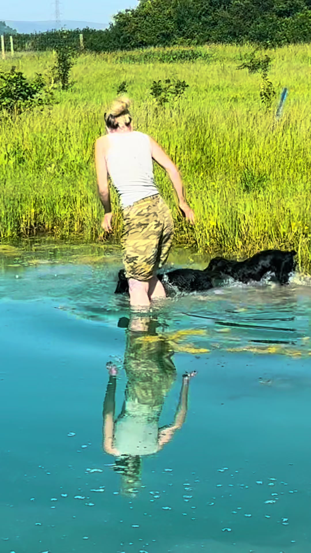 @Trails For Tails Dog Training