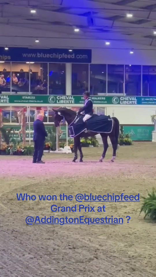 @markedwardsshowjumping