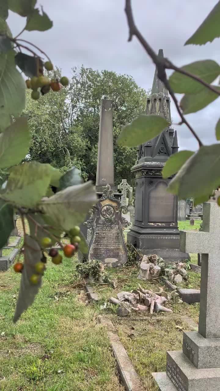 @GraveSnape🪦