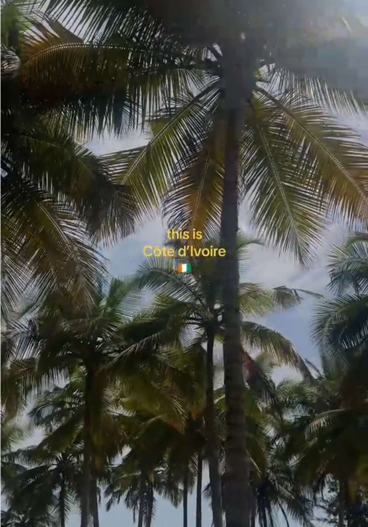 @mk🪽