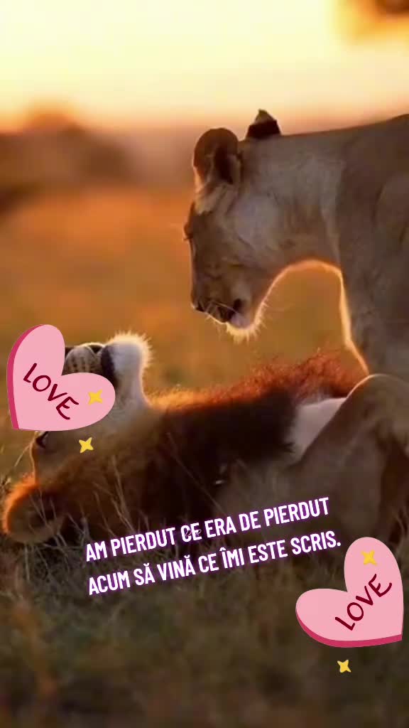 @💜Lo❣️ve💜
