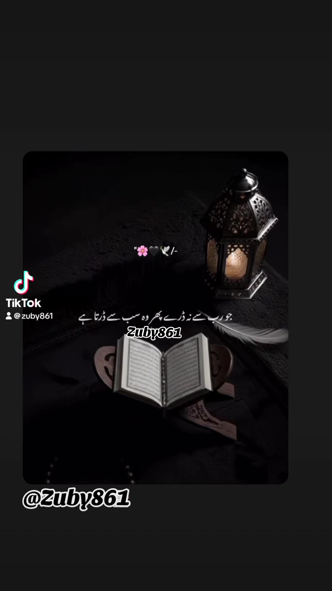 @Lovely Zubi