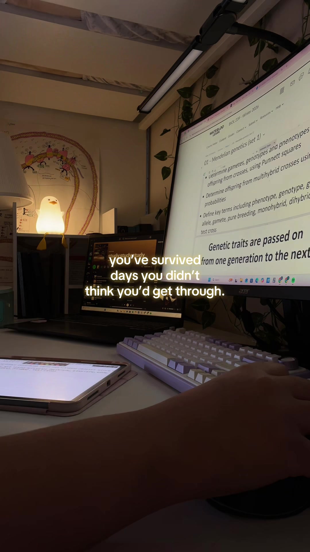 @studyjournal