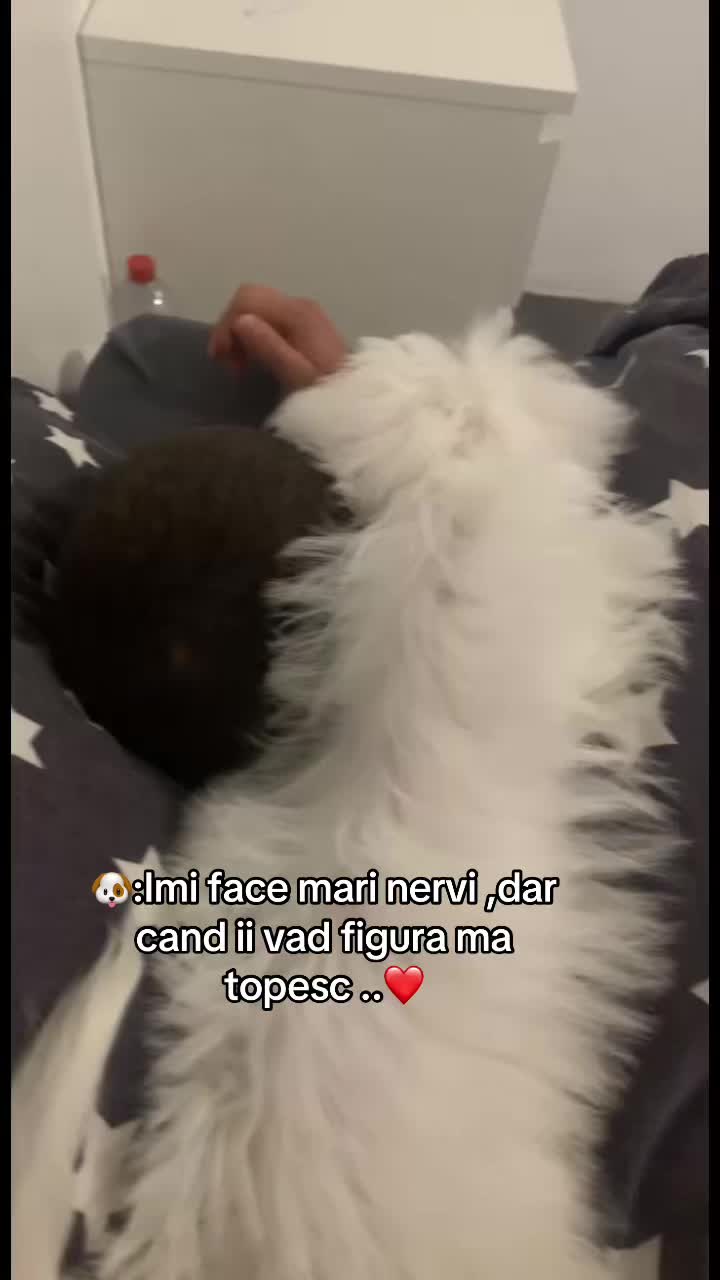 @Mioana