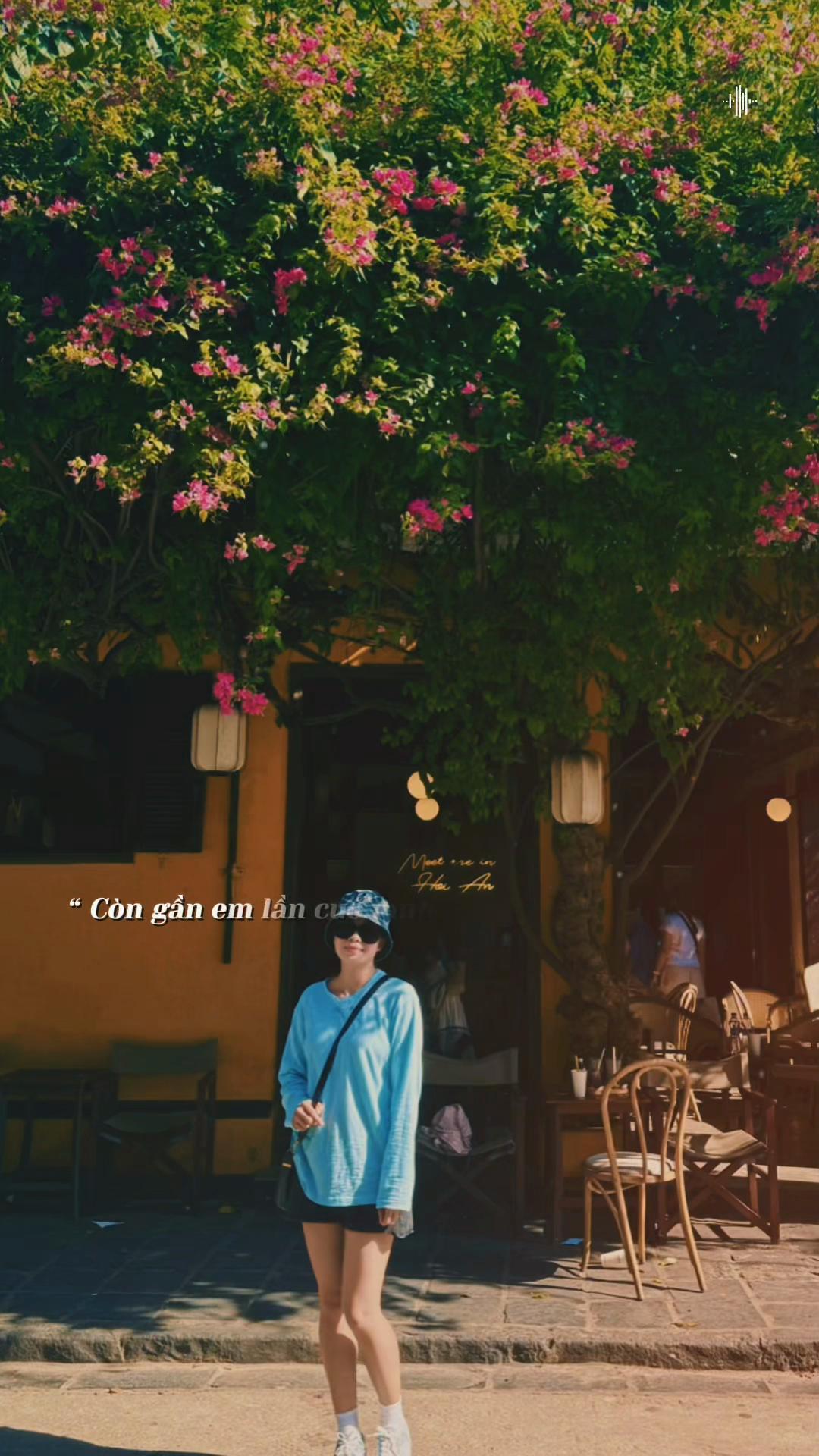 @Cúc hoạ mi🍀