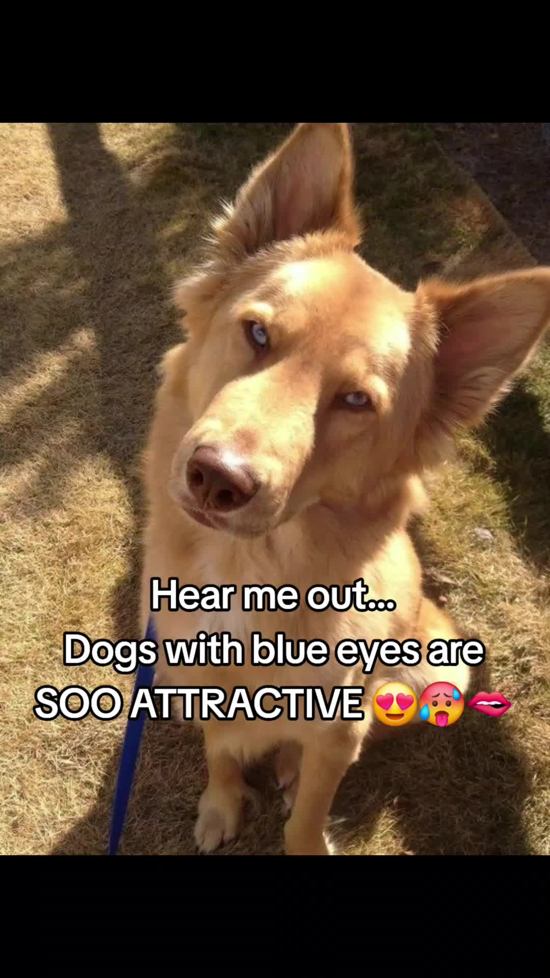 @🦴ZOOMFIE!🦴