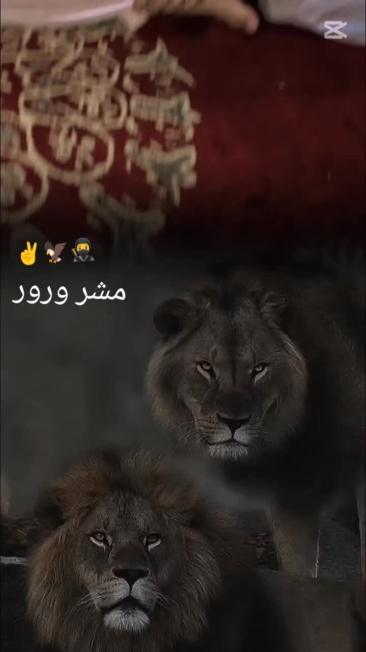@Q I S M A T -- J A N I