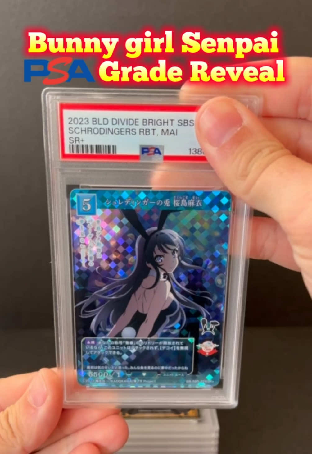 @KingNorwe | TCG Tokyo 🇯🇵
