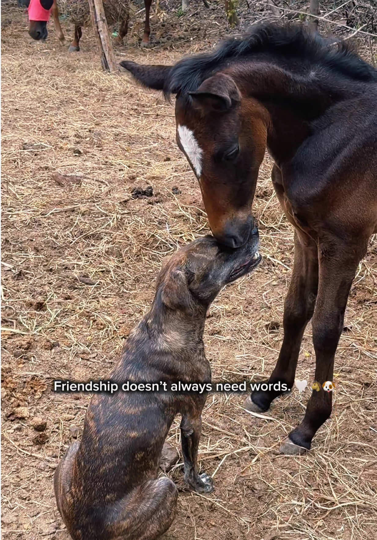 @roots_riding_stables