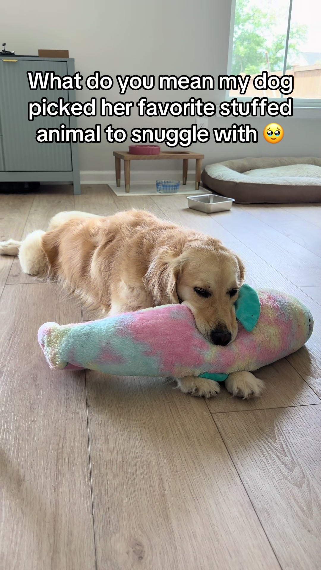 @Chloè🐾