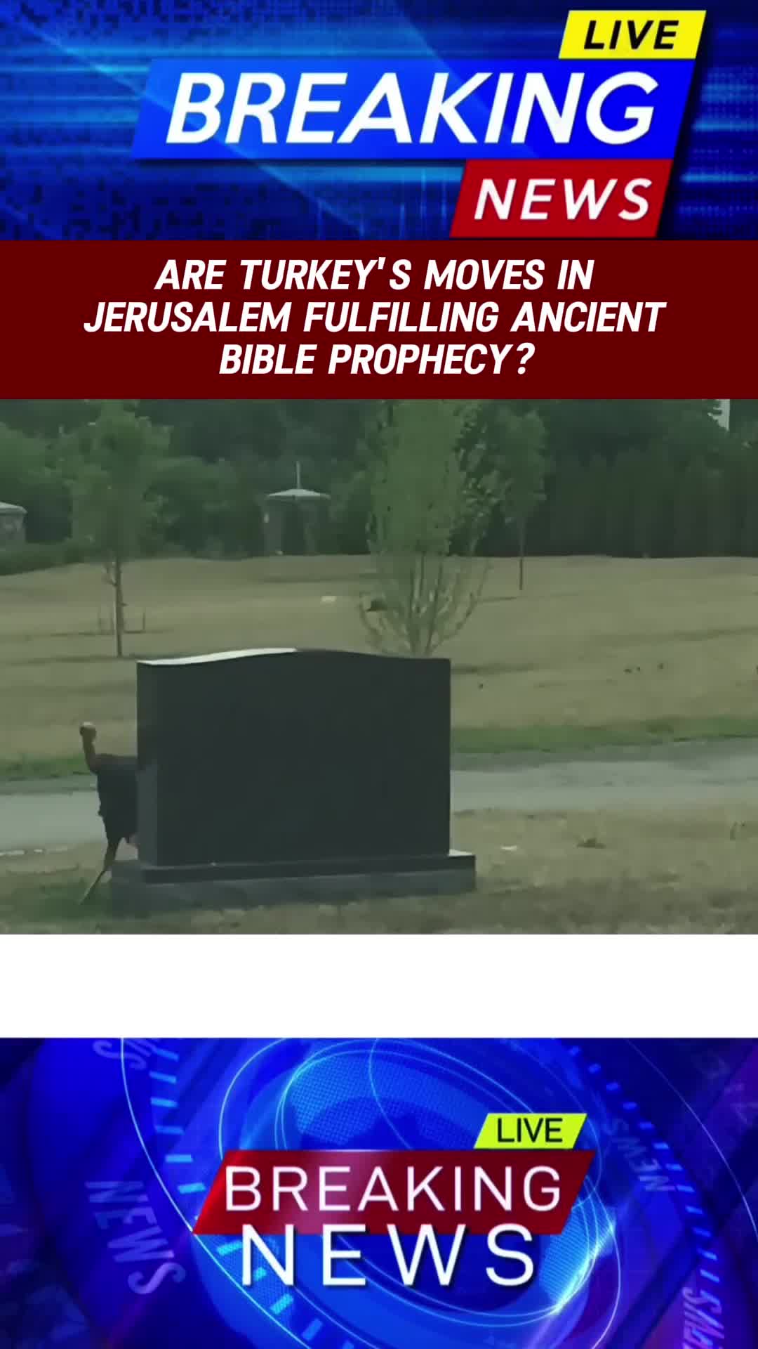 @newnews.818